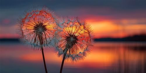 Diamond Painting Prinzessin Diamond Painting Kinder, Sonnenuntergang Bastelset Erwachsene, Kreativ Set für Erwachsene, 5D Crystal Art Set, DIY Diamant Kunst Kits, für Home Decor, 70x140cm p-619 Diamond Painting Prinzessin Diamond Painting Kinder, Sonnenuntergang Bastelset Erwachsene, Kreativ Set für Erwachsene, 5D Crystal Art Set, DIY Diamant Kunst Kits, für Home Decor, 70x140cm p-619 von Duushuait