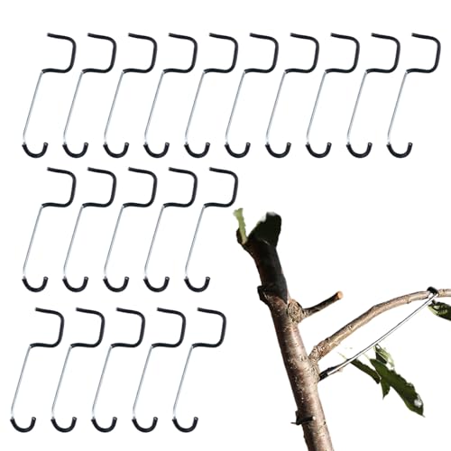 Duvcoywae Baumastspreizer | Verzweigungsclips Zum Formen & Biegen - 20 Stück langlebige Astspreizer für Obstbäume & Zierpflanzen – Robuste Gartenhelfer mit Formhaltetechnik Duvcoywae Baumastspreizer | Verzweigungsclips Zum Formen & Biegen - 20 Stück langlebige Astspreizer für Obstbäume & Zierpflanzen – Robuste Gartenhelfer mit Formhaltetechnik von Duvcoywae