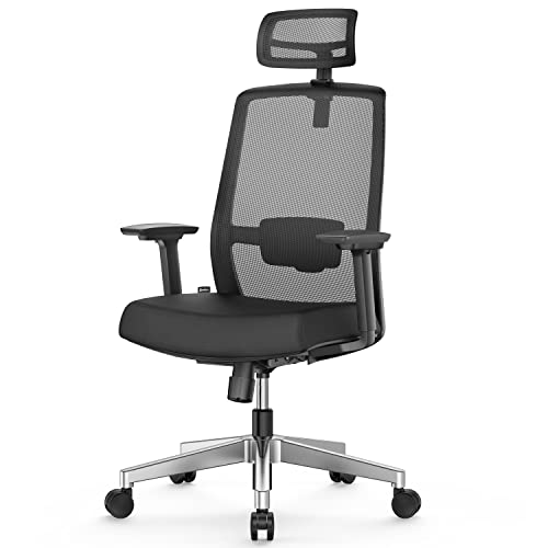 Duwinson Ergonomischer Schreibtischstuhl mit 5D Verstellarmlehne, Mesh Bürostuhl, Wippfunktion, Verstellbarer Kopfstütze Lordosenstütze, Höhenverstellbar (Black-UE) von Duwinson