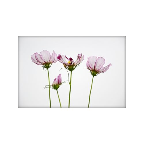 Bild auf Leinwand Weiße Rote Blumen Gemälde Foto Auf Leinwand Bilder Wohnzimmer Küche Kunstdruck Badezimmer Bilder Flur Wandbilder Modern Wandbild Schlafzimmer Küchenbilder Kein Rahmen 60x90cm Bild auf Leinwand Weiße Rote Blumen Gemälde Foto Auf Leinwand Bilder Wohnzimmer Küche Kunstdruck Badezimmer Bilder Flur Wandbilder Modern Wandbild Schlafzimmer Küchenbilder Kein Rahmen 60x90cm von Dwetcxo