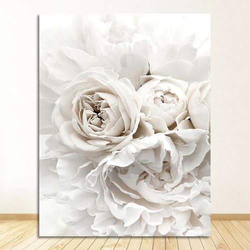 Dwetcxo Bild auf Leinwand Weiße Rose Gemälde Foto Auf Leinwand Deko Bilder Wohnzimmer Kunstdruck Wandbild Schlafzimmer Küchenbilder Wandbilder Bilder Küche Badezimmer Kein Rahmen 40x60cm Dwetcxo Bild auf Leinwand Weiße Rose Gemälde Foto Auf Leinwand Deko Bilder Wohnzimmer Kunstdruck Wandbild Schlafzimmer Küchenbilder Wandbilder Bilder Küche Badezimmer Kein Rahmen 40x60cm von Dwetcxo