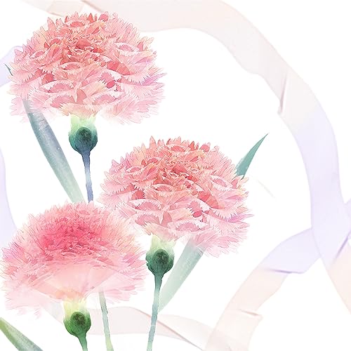 Fensterfolie Grüne Rosa Blume Fensterfolie Blickdicht Milchglasfolie Selbstklebend Fenster Folie Fenster Sichtschutz Sichtschutzfolie Fensterfolien Bad Window Privacy Film 58x60cm/4 Pcs Fensterfolie Grüne Rosa Blume Fensterfolie Blickdicht Milchglasfolie Selbstklebend Fenster Folie Fenster Sichtschutz Sichtschutzfolie Fensterfolien Bad Window Privacy Film 58x60cm/4 Pcs von Dwetcxo