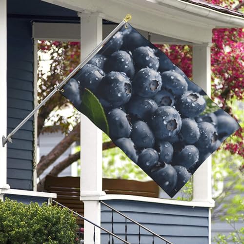 Flagge, doppelseitig, köstliche Blaubeer-Gartenflaggen, 61 x 88,9 cm, personalisiertes Grußbanner, lichtbeständig, Außenflagge, Urlaubsflagge für Outdoor, Party, Zuhause, Hausdekoration Flagge, doppelseitig, köstliche Blaubeer-Gartenflaggen, 61 x 88,9 cm, personalisiertes Grußbanner, lichtbeständig, Außenflagge, Urlaubsflagge für Outdoor, Party, Zuhause, Hausdekoration von Dwrepo