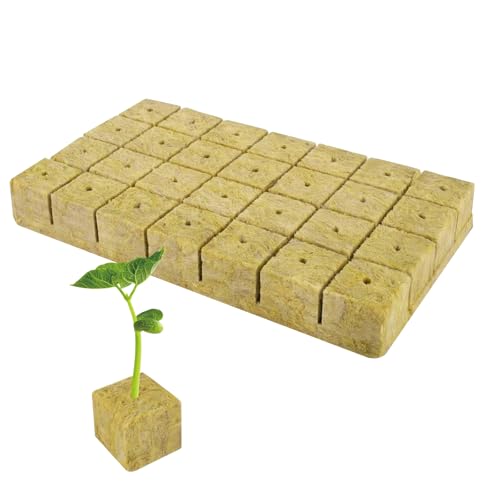 Dxmcgttbd 28 Stücke Steinwolle Würfel,4 * 4 * 4cm Steinwolle Anzuchtmatte,Bodenlos Hydrokultur Anzuchtmatte, steinwolle,steinwolle anzucht,Rockwool Cube,für Stecklinge, Klonen, Anzucht Dxmcgttbd 28 Stücke Steinwolle Würfel,4 * 4 * 4cm Steinwolle Anzuchtmatte,Bodenlos Hydrokultur Anzuchtmatte, steinwolle,steinwolle anzucht,Rockwool Cube,für Stecklinge, Klonen, Anzucht von Dxmcgttbd