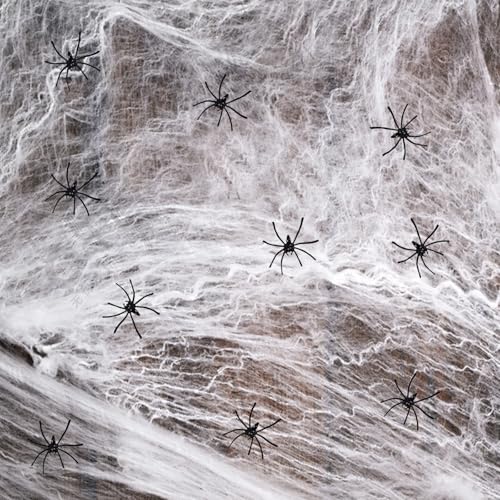 Dxmcgttbd Halloween Deko Spinnennetz,Spinnennetz Halloween,Halloween Spinnennetz,Spinnennetz,60g Weiß Spinnenweben mit 10St Schwarz Kunststoff Spinnen,für Haus und Garten,Halloween Dekoration von Dxmcgttbd