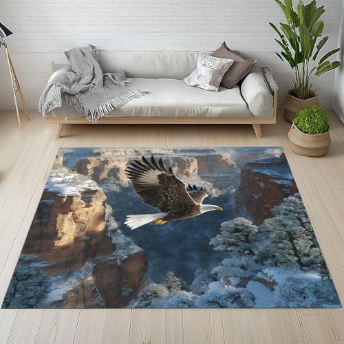 Dyjuaa Adler Canyon Waschbarer Teppich 200x200 cm, Natur Scenery Teppiche Wohnzimmer Anti Rutsch Große Teppiche Schlafzimmer Weich Kurzflor Carpet Matte Kinderteppich von Dyjuaa