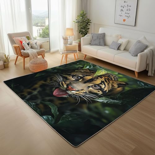 Dyjuaa Gepard Tierwelt Teppich Kurzflor 100x150 cm, Nebelparder Regenwald Tiere Bettvorleger Weich rutschfest Waschbar, Teppiche für Wohnzimmer, Schlafzimmer, Esszimmer, Kinderzimmer von Dyjuaa