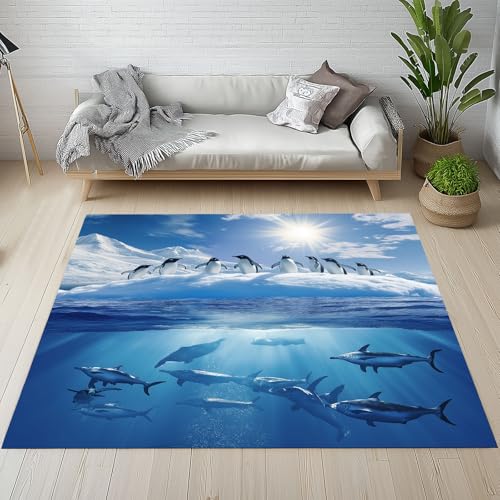 Dyjuaa Gletscher Pinguin Waschbarer Teppich 200x280 cm, Meer Tier Hai Carpet Wohnzimmer Anti Rutsch Große Teppiche Schlafzimmer Weich Kurzflor Teppiche Matte Kinderteppich von Dyjuaa