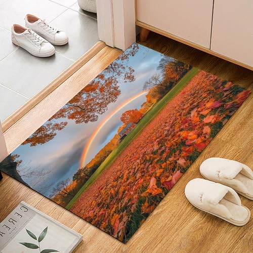 Dyjuaa Herbst Natur Scenery Fußmatte Schmutzfangmatte 60x90cm, Regenbogen Gefallene Blätter Teppich Antirutsch Waschbar, Teppich Kurzflor für Hund, Eingang, Haustür, Balkon, Küche, Flur von Dyjuaa