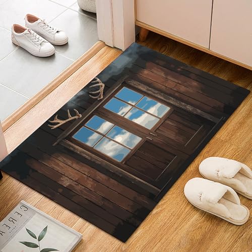 Dyjuaa Holztür Holz Textur Fußmatte Schmutzfangmatte 60x90cm, Fenster Himmel Teppich Antirutsch Waschbar, Teppich Kurzflor für Hund, Eingang, Haustür, Balkon, Küche, Flur von Dyjuaa