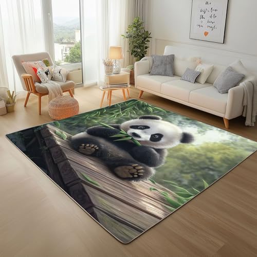Dyjuaa Niedlich Panda Waschbarer Teppich 200x200 cm, Waldtiere Tierwelt Teppiche Wohnzimmer Anti Rutsch Große Teppiche Schlafzimmer Weich Kurzflor Carpet Matte Kinderteppich Dyjuaa Niedlich Panda Waschbarer Teppich 200x200 cm, Waldtiere Tierwelt Teppiche Wohnzimmer Anti Rutsch Große Teppiche Schlafzimmer Weich Kurzflor Carpet Matte Kinderteppich von Dyjuaa