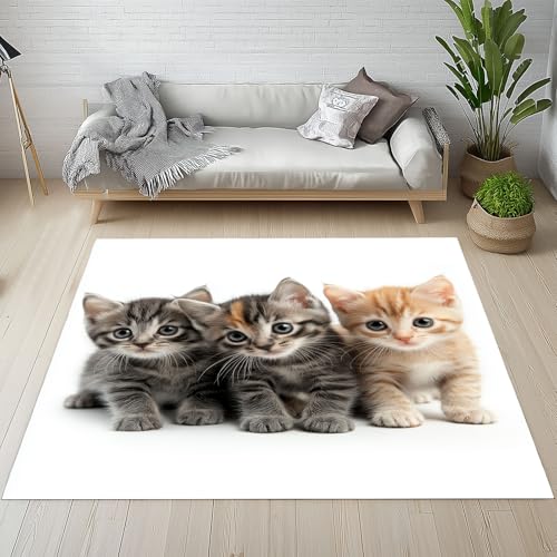 Dyjuaa Süße Kätzchen Teppich 140x200 cm, Niedlich Katze Teppiche Waschbar rutschfest Kurzflor, Carpet Weich für Schlafzimmer, Wohnzimmer, Esszimmer, Kinderzimmer Dyjuaa Süße Kätzchen Teppich 140x200 cm, Niedlich Katze Teppiche Waschbar rutschfest Kurzflor, Carpet Weich für Schlafzimmer, Wohnzimmer, Esszimmer, Kinderzimmer von Dyjuaa
