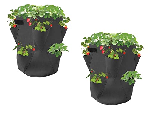 Dynamic24 2er Set Erdbeer-Pflanzsack Erdbeeren Pflanztopf Filzsack Filztopf Filz Balkon Terrasse Garten Pflanzsäcke Filzstoff Erdbeerpflanzen Säulentopf Set von Dynamic24