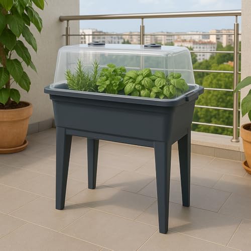 Balkon Hochbeet mit Deckel Gewächshaus Frühbeet Kräuterbeet Treibhaus Aufzuchtbeet Pflanzkasten Pflanzenkübel Gemüse Blumenkasten Garten Gemüsebeet Blumentopf Tomatenhaus (60cm) Balkon Hochbeet mit Deckel Gewächshaus Frühbeet Kräuterbeet Treibhaus Aufzuchtbeet Pflanzkasten Pflanzenkübel Gemüse Blumenkasten Garten Gemüsebeet Blumentopf Tomatenhaus (60cm) von Dynamic24