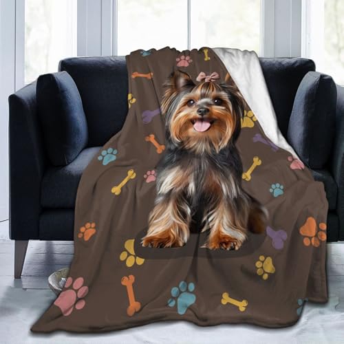 Dynova Yorkshire Terrier, 127 x 101 cm Dynova Yorkshire Terrier, 127 x 101 cm von Dynova