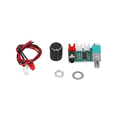 Dyocoag Digital Power Amplifier Board Dual Channel Volumenanpassung Feine Arbeitsverstärkerverstärker -Karte von Dyocoag