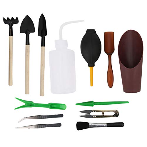 Dyocoag Mini Garten Handschere Set zum Pflanzen graben Gründungsschaufeln Sukkulente Werkzeugkit Innengartenarbeit Dyocoag Mini Garten Handschere Set zum Pflanzen graben Gründungsschaufeln Sukkulente Werkzeugkit Innengartenarbeit von Dyocoag
