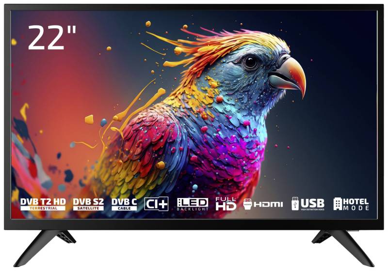 B-Ware Dyon Enter 22 Pro X2 55 Cm (22 Inch) Full Hd Tv Fernseher Siehe Text/Foto von Dyon