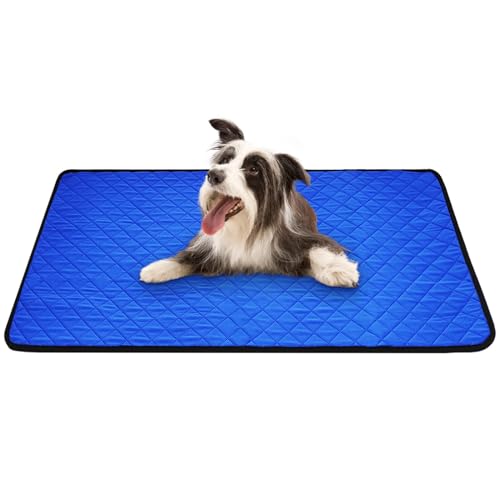 Waschbare PIPI-Pads für Hunde 2er Packung 62x92cm Zoll Wiederverwendbare, saugfähige, auslaufsichere, rutschfeste Welpen-Töpfchen-Trainingsmatten von Dyrdekly