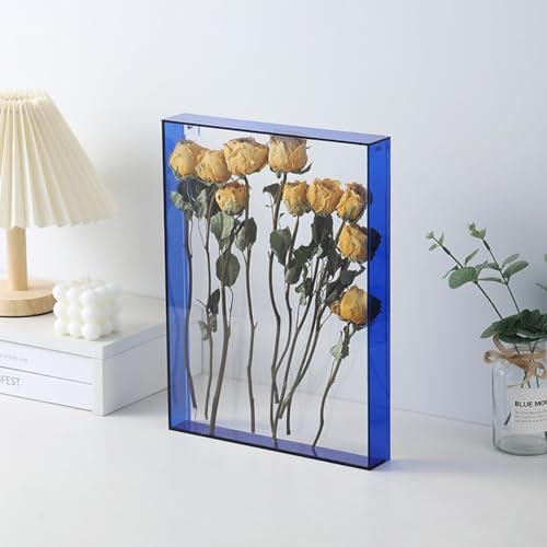 Acryl-Bilderrahmen, 5 Farben, für Objekte, Fotos, Kunstwerke, Erinnerungen, Blumen, Basteln, 26 x 31 cm (blau) von DystopiaWorld