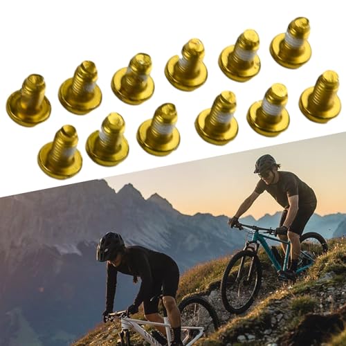 Schrauben für Fahrrad Scheibenbremse Einbau Edelstahl M5 x 9 mm T25 12 Stück (Schwarz) von DystopiaWorld