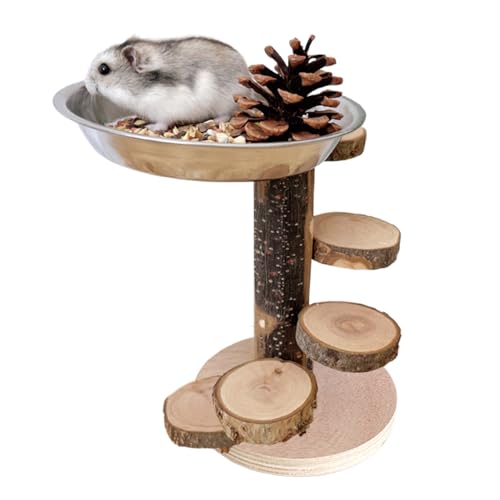 DzpKrka Hamster Holzleiter Holz Hamster Käfig Leiter Spielplatz Tiere Kletterspielzeug Futterstation mit Edelstahlschale für Rennmäuse Chinchilla Eichhörnchen DzpKrka Hamster Holzleiter Holz Hamster Käfig Leiter Spielplatz Tiere Kletterspielzeug Futterstation mit Edelstahlschale für Rennmäuse Chinchilla Eichhörnchen von DzpKrka