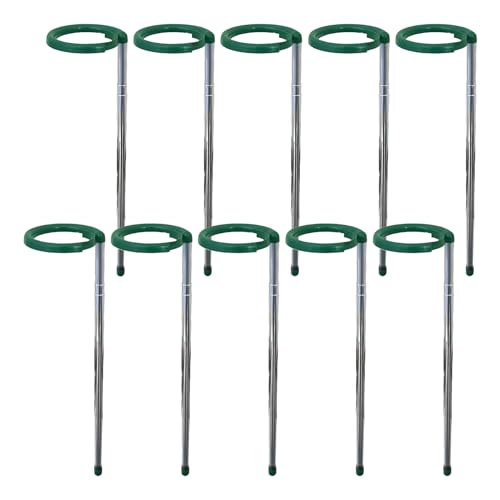 DzpKrka Pflanzenstäbe für Zimmerpflanzen,Verstellbare Pflanzen Stützen | 10 Stück Kletterpflanzen Stütze Mit Clip Bis 120 cm | Für Garten Bohnen Tomaten Orchideen DzpKrka Pflanzenstäbe für Zimmerpflanzen,Verstellbare Pflanzen Stützen | 10 Stück Kletterpflanzen Stütze Mit Clip Bis 120 cm | Für Garten Bohnen Tomaten Orchideen von DzpKrka