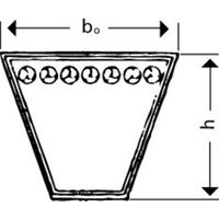 Schmalkeilriemen SPC Richtlänge: 3150 mm von Tecnamic