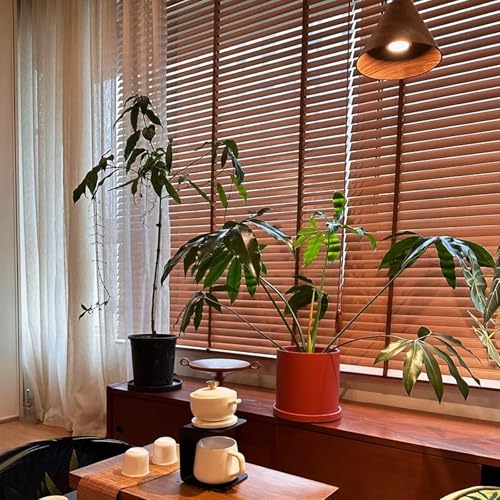 Sichtschutz Rollo,Atmungsaktive/Uv-Schutz/Lichtfilternde Jalousette,Natürlicher Fensterrollo,Verdunkelungsvorhang aus Massivholz,Einfach zu Montierender,Anpassbar (W140xH250cm/W55 xH99) von E ECATEE