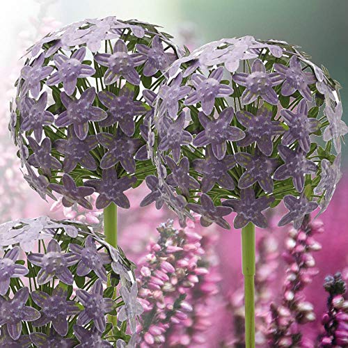 Gartenstecker - Allium - H110cm / D15cm - Purple - Gartendeko von E-X