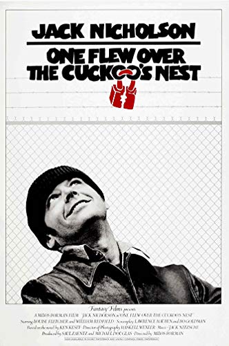E-shining Metallschild "One Flew Over The Cuckoos Nest", Blechschild, Filmposter, Club, Kaffeehaus, Zuhause, Retro-Wanddekoration, 20,3 x 30,5 cm von E-shining