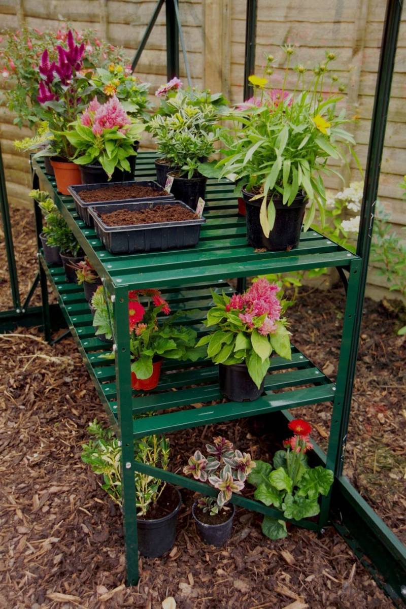 Alutisch von E.P.H. Schmidt