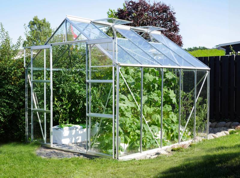 Gewächshaus Uranus 8300 Gewächshaus Uranus 8300 von E.P.H. Schmidt