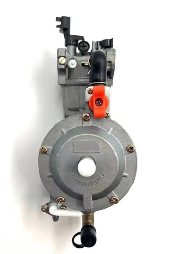 Werkzeugzubehör Benzingenerator LPG-Vergaser Dual Fuel für Kompatibel mit 2KW 3KW 168F 170F 6,5 PS Elektrische Generatorteile Werkzeugzubehör Benzingenerator LPG-Vergaser Dual Fuel für Kompatibel mit 2KW 3KW 168F 170F 6,5 PS Elektrische Generatorteile von EAGHADEK