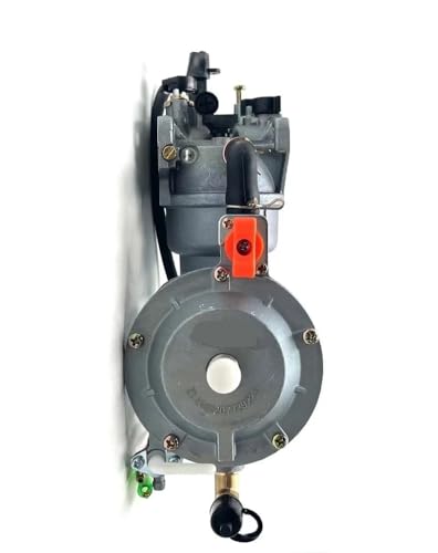 Werkzeugzubehör LPG NG Vergaser Dual Fuel LPG Umrüstsatz für Kompatibel mit 5KW 6,5KW 188F 190F 13P Benzingenerator von EAGHADEK