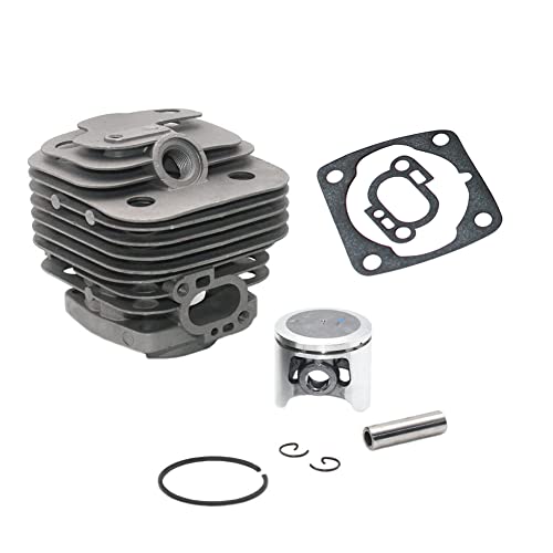 Werkzeugzubehör Zylinderkolbensatz für kompatibel mit Echo Bruhcutter SRM-4300F SRM-4300R B430F SRM-4000 Freischneidesäge CLS-5000. Ersetzen Sie PN: P021039020 P021014490 P021040080. Werkzeugzubehör Zylinderkolbensatz für kompatibel mit Echo Bruhcutter SRM-4300F SRM-4300R B430F SRM-4000 Freischneidesäge CLS-5000. Ersetzen Sie PN: P021039020 P021014490 P021040080. von EAGHADEK