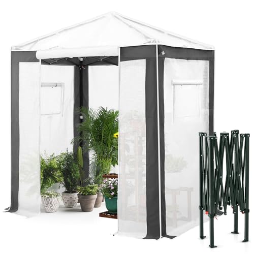 EAGLE PEAK Tragbares begehbares Gewächshaus mit Polyester-verstärkten Ecken, sofortiges Aufklappen, für drinnen und draußen, Gartenarbeit, Grünhaus, aufrollbare Eingangstür mit Reißverschluss und von EAGLE PEAK