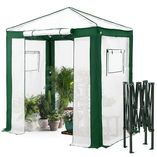 EAGLE PEAK Tragbares begehbares Gewächshaus mit Polyester-verstärkten Ecken, sofortiges Aufklappen, für drinnen und draußen, Gartenarbeit, Grünhaus, aufrollbare Eingangstür mit Reißverschluss und von EAGLE PEAK