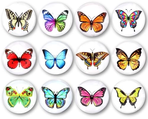 EANAGO Schöne Magnete mit bunter Glasoberfläche -Set mit 12 Stück Motiv >Schmetterling< - Durchmesser 30 mm - mit Gummischicht als Oberflächenschutz - für Küche, Büro, Kinderzimmer usw. EANAGO Schöne Magnete mit bunter Glasoberfläche -Set mit 12 Stück Motiv >Schmetterling< - Durchmesser 30 mm - mit Gummischicht als Oberflächenschutz - für Küche, Büro, Kinderzimmer usw. von EANAGO