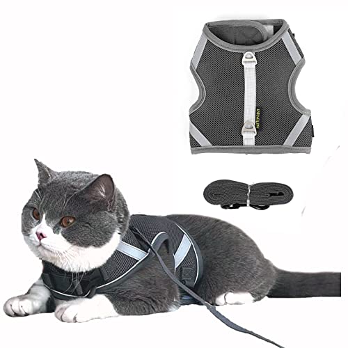 Katzengeschirr mit Leine ausbruchsicher, Katzenleine mit Geschirr für Katzen, Katzengeschirr und Leine Set, Atmungsaktive Reflektierend Cat Harness Brustgeschirr für kleine Kitten(M,Grau) von EASY JOY