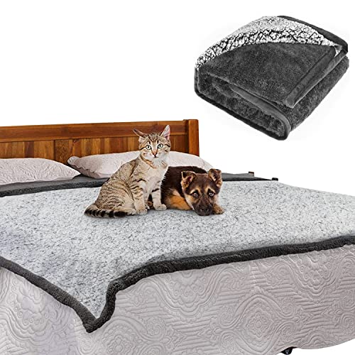 Pattepoint Wasserdichte Hundedecke 145 x 190 cm WaschbaresHundesitz Auto Rückbank Reisedecke, Extra Großes Schonbezug Autositz Micro Fleece Weicher Pissfest, Haustierdecke Für Puppy Katzen - Grau von EASY JOY