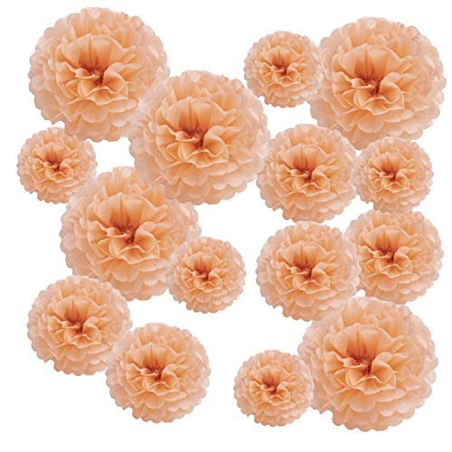 Pompon Seidenpapier, Pfirsich, Pompom, Dekoration, Blume, Kugel, Hochzeit, hängend für Dekoration von Haus, Party, Weihnachten, Garten, Geburtstag, Taufe, Babyparty, 15 Stück (5 Stück 15/20/25 cm) von EASY JOY