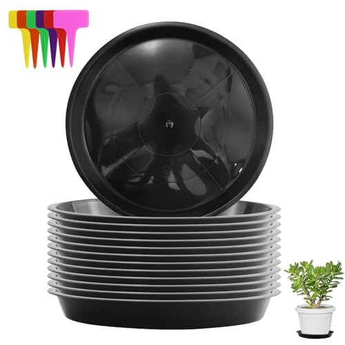 12 Stück 24 cm Blumentopf Untersetzer aus Kunststoff Blumentopfuntersetzer Rund Pflanzentopf Untertasse Plastik Pflanztopf Unterteller für Pflanzkübel Blumenkübel Tablett Blumen Pflanzen Garten von EASYKEENECOM