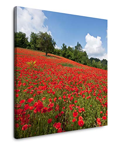 EAUZONE GmbH Blumenwiese 60x60cm Wandbild auf Leinwand, Kunstdruck Moderne Bilder von EAUZONE GmbH