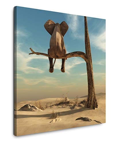 EAUZONE GmbH Elefant auf einem Baum 60x60cm Wandbild auf Leinwand, Kunstdruck Moderne Bilder von EAUZONE GmbH