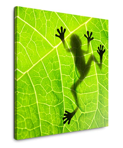 EAUZONE GmbH Frosch hinter einem Blatt 60x60cm Wandbild auf Leinwand, Kunstdruck Moderne Bilder von EAUZONE GmbH