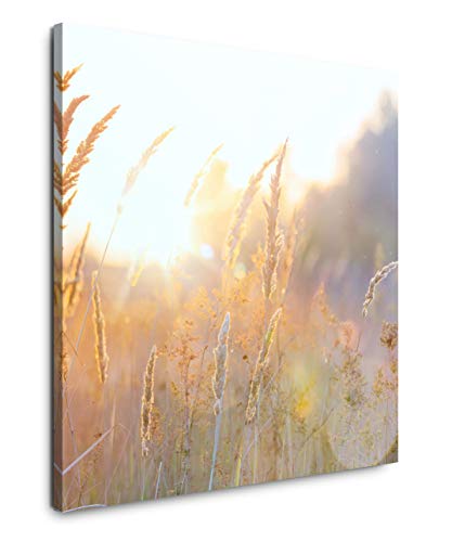 EAUZONE GmbH Frühlingslicht 60x60cm Wandbild auf Leinwand, Kunstdruck Moderne Bilder von EAUZONE GmbH