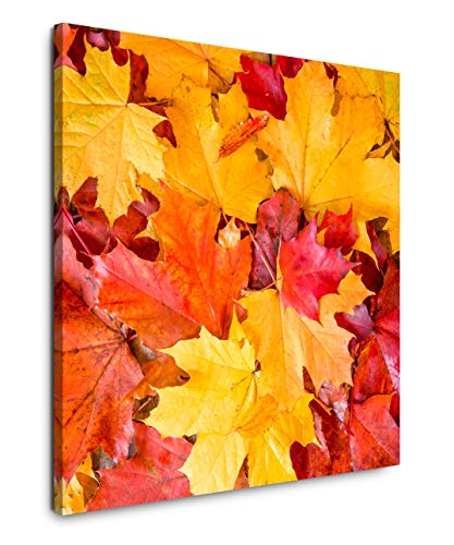 EAUZONE GmbH Herbstblätter 60x60cm Wandbild auf Leinwand, Kunstdruck Moderne Bilder von EAUZONE GmbH