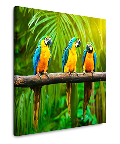 EAUZONE GmbH Papageien auf einem AST 60x60cm Wandbild auf Leinwand, Kunstdruck Moderne Bilder von EAUZONE GmbH