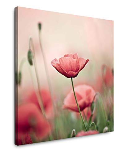 EAUZONE GmbH Pinke Blume 60x60cm Wandbild auf Leinwand, Kunstdruck Moderne Bilder von EAUZONE GmbH